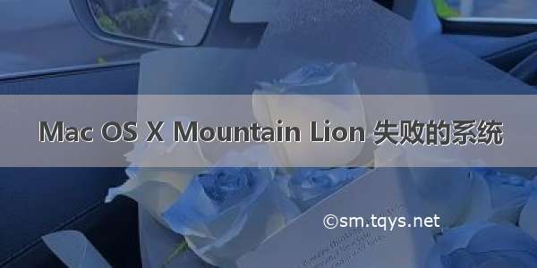 Mac OS X Mountain Lion 失败的系统