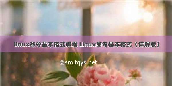 linux命令基本格式教程 Linux命令基本格式（详解版）