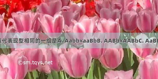 下列杂交组合中 后代与亲代表现型相同的一组是A. Aabb×aaBbB. AABb×AABbC. AaBB×AABbD. AaBb×AaBb