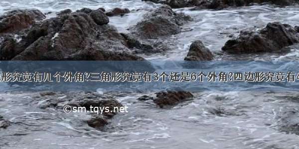 三角形和四边形究竟有几个外角?三角形究竟有3个还是6个外角?四边形究竟有4个还是8个外