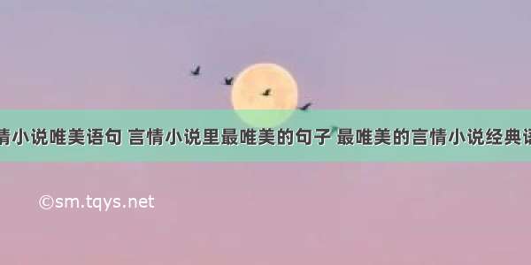 言情小说唯美语句 言情小说里最唯美的句子 最唯美的言情小说经典语录