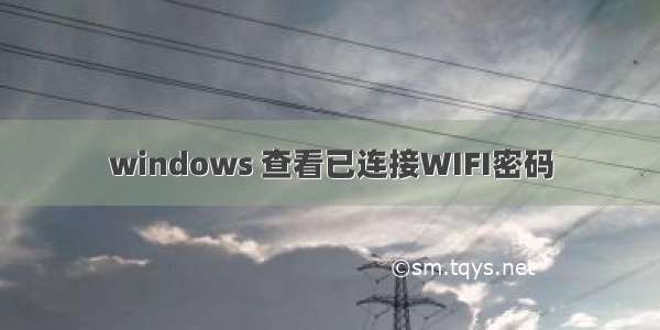 windows 查看已连接WIFI密码