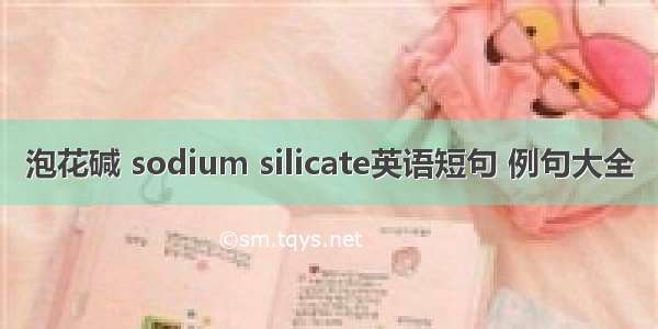 泡花碱 sodium silicate英语短句 例句大全