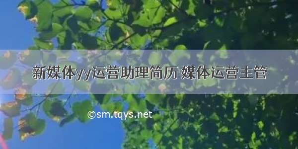 新媒体yy运营助理简历 媒体运营主管