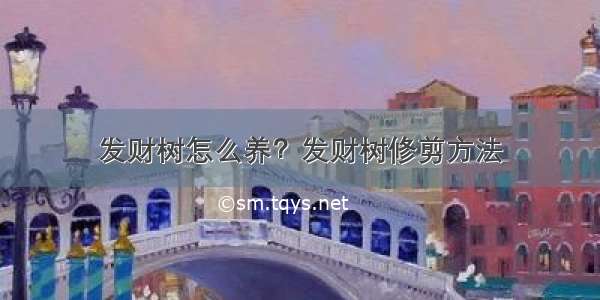 发财树怎么养？发财树修剪方法