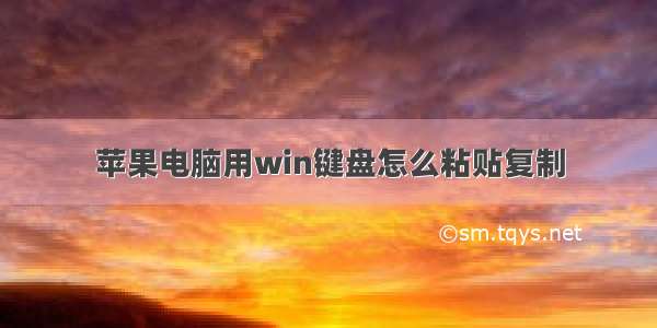 苹果电脑用win键盘怎么粘贴复制