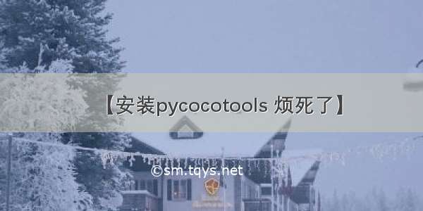 【安装pycocotools 烦死了】