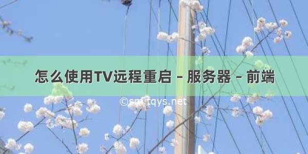 怎么使用TV远程重启 – 服务器 – 前端