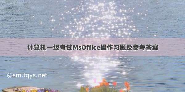 计算机一级考试MsOffice操作习题及参考答案