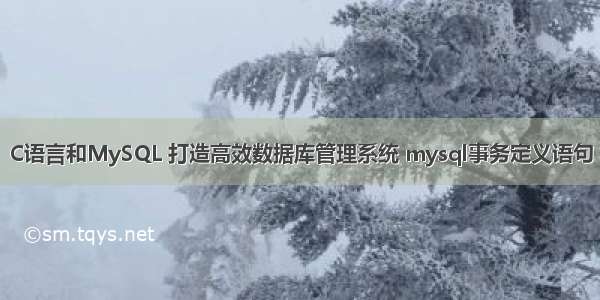 C语言和MySQL 打造高效数据库管理系统 mysql事务定义语句