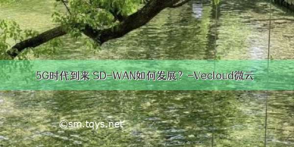 5G时代到来 SD-WAN如何发展？-Vecloud微云