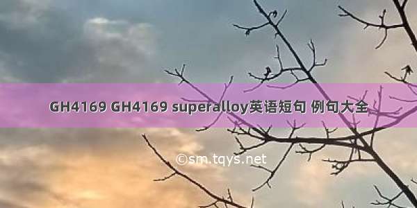 GH4169 GH4169 superalloy英语短句 例句大全