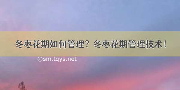 冬枣花期如何管理？冬枣花期管理技术！