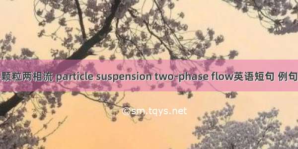 悬浮颗粒两相流 particle suspension two-phase flow英语短句 例句大全