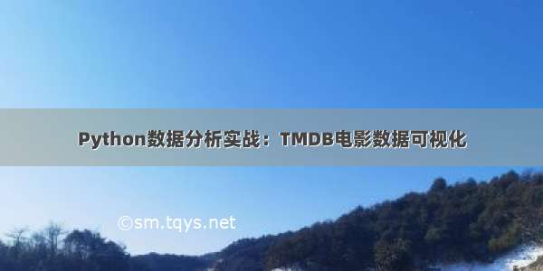 Python数据分析实战：TMDB电影数据可视化