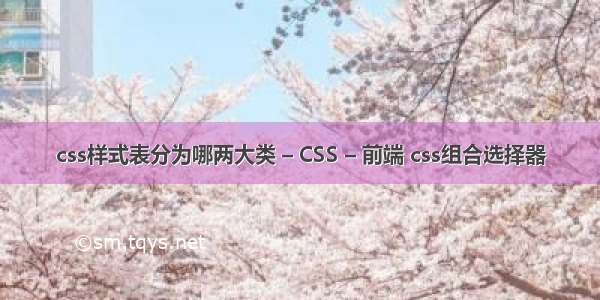 css样式表分为哪两大类 – CSS – 前端 css组合选择器