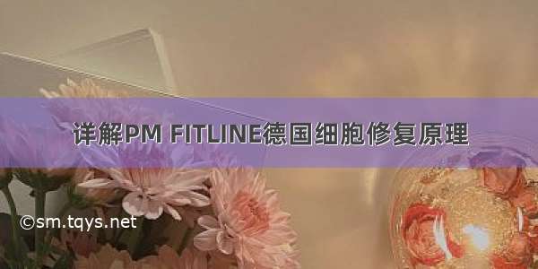 详解PM FITLINE德国细胞修复原理