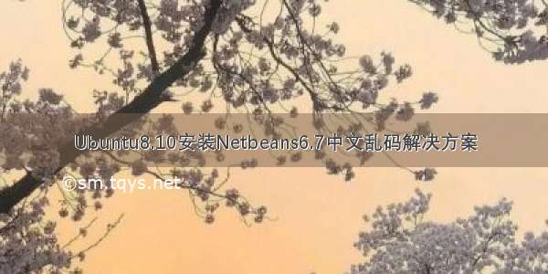 Ubuntu8.10安装Netbeans6.7中文乱码解决方案