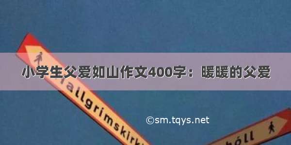 小学生父爱如山作文400字：暖暖的父爱