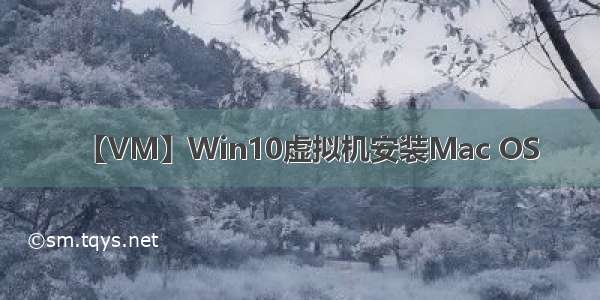 【VM】Win10虚拟机安装Mac OS