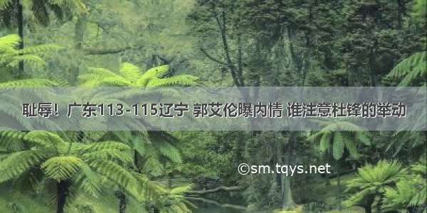 耻辱！广东113-115辽宁 郭艾伦曝内情 谁注意杜锋的举动