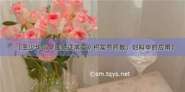 【王少华《中医临证求实》枳实芍药散：妇科中的应用】