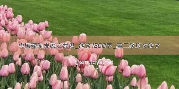 中国媒体发展之我见_作文1200字_高二议论文作文