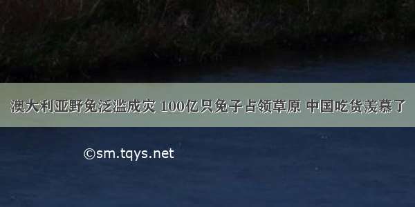 澳大利亚野兔泛滥成灾 100亿只兔子占领草原 中国吃货羡慕了