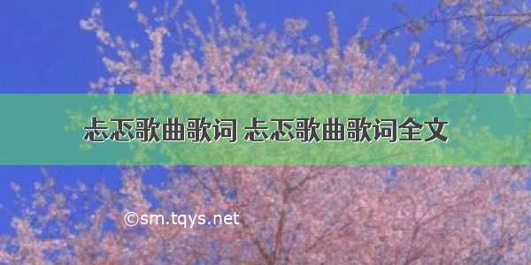 忐忑歌曲歌词 忐忑歌曲歌词全文