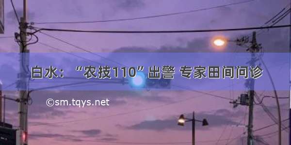 白水：“农技110”出警 专家田间问诊