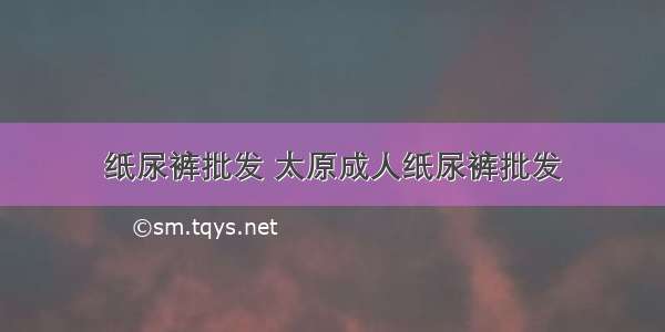 纸尿裤批发 太原成人纸尿裤批发