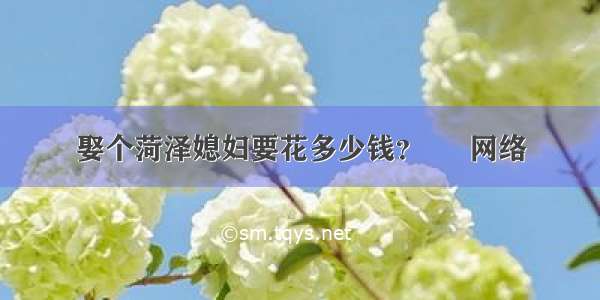 娶个菏泽媳妇要花多少钱？ – 网络