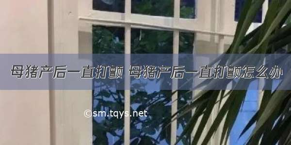 母猪产后一直打颤 母猪产后一直打颤怎么办