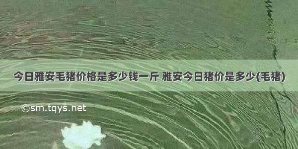 今日雅安毛猪价格是多少钱一斤 雅安今日猪价是多少(毛猪)