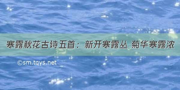 寒露秋花古诗五首：新开寒露丛 菊华寒露浓