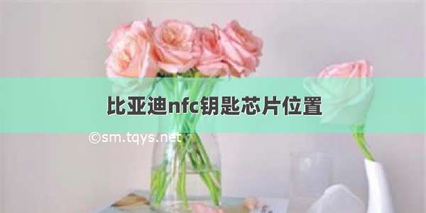 比亚迪nfc钥匙芯片位置