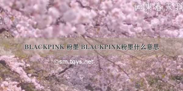 BLACKPINK 粉墨 BLACKPINK粉墨什么意思