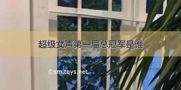 超级女声第一届总冠军是谁