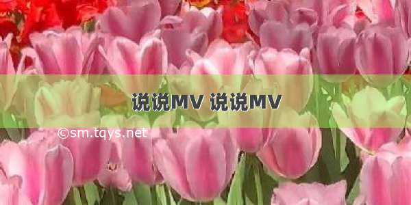 说说MV 说说MV