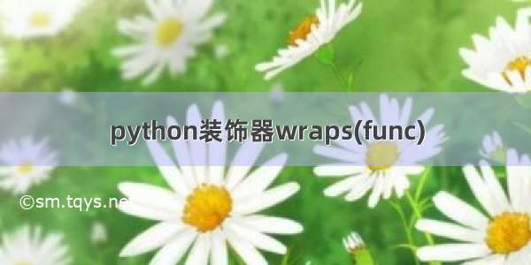 python装饰器wraps(func)
