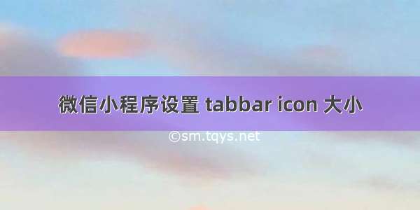 微信小程序设置 tabbar icon 大小