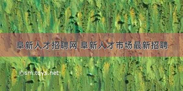 阜新人才招聘网 阜新人才市场最新招聘