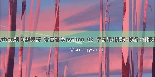 python横向制表符_零基础学python_03_字符串(拼接+换行+制表符)