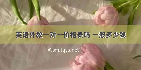 英语外教一对一价格贵吗 一般多少钱