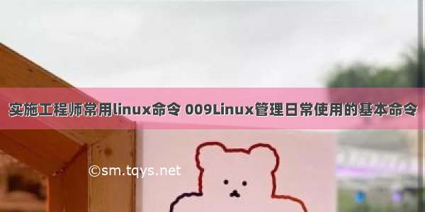 实施工程师常用linux命令 009Linux管理日常使用的基本命令