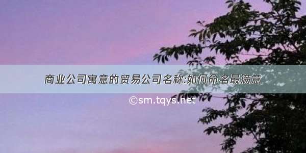 商业公司寓意的贸易公司名称:如何命名最满意