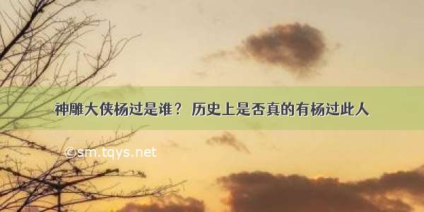 神雕大侠杨过是谁？ 历史上是否真的有杨过此人