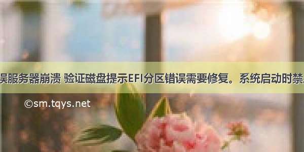 efi文件错误服务器崩溃 验证磁盘提示EFI分区错误需要修复。系统启动时禁止符号！...