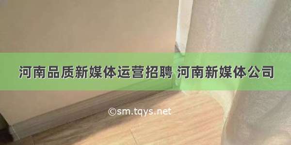 河南品质新媒体运营招聘 河南新媒体公司