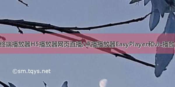 8K播放网络全终端播放器H5播放器网页直播/点播播放器EasyPlayer和vlc播放RTSP流地址不